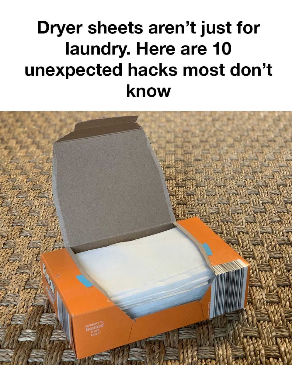 479968874 1074849024686477 367975123037847270 N