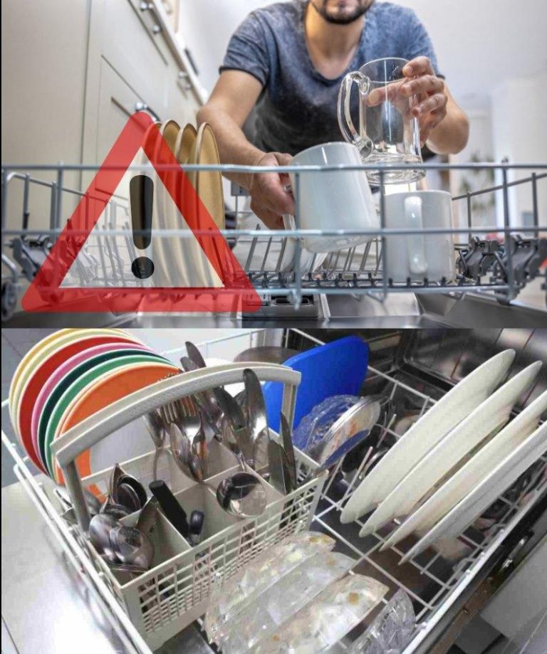 480549497 2414843995526719 9208929220864604625 N