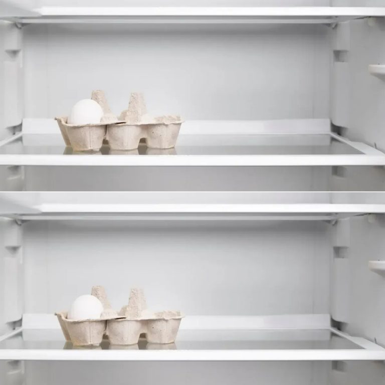 480731085 1761919781056906 7006037214561392171 N