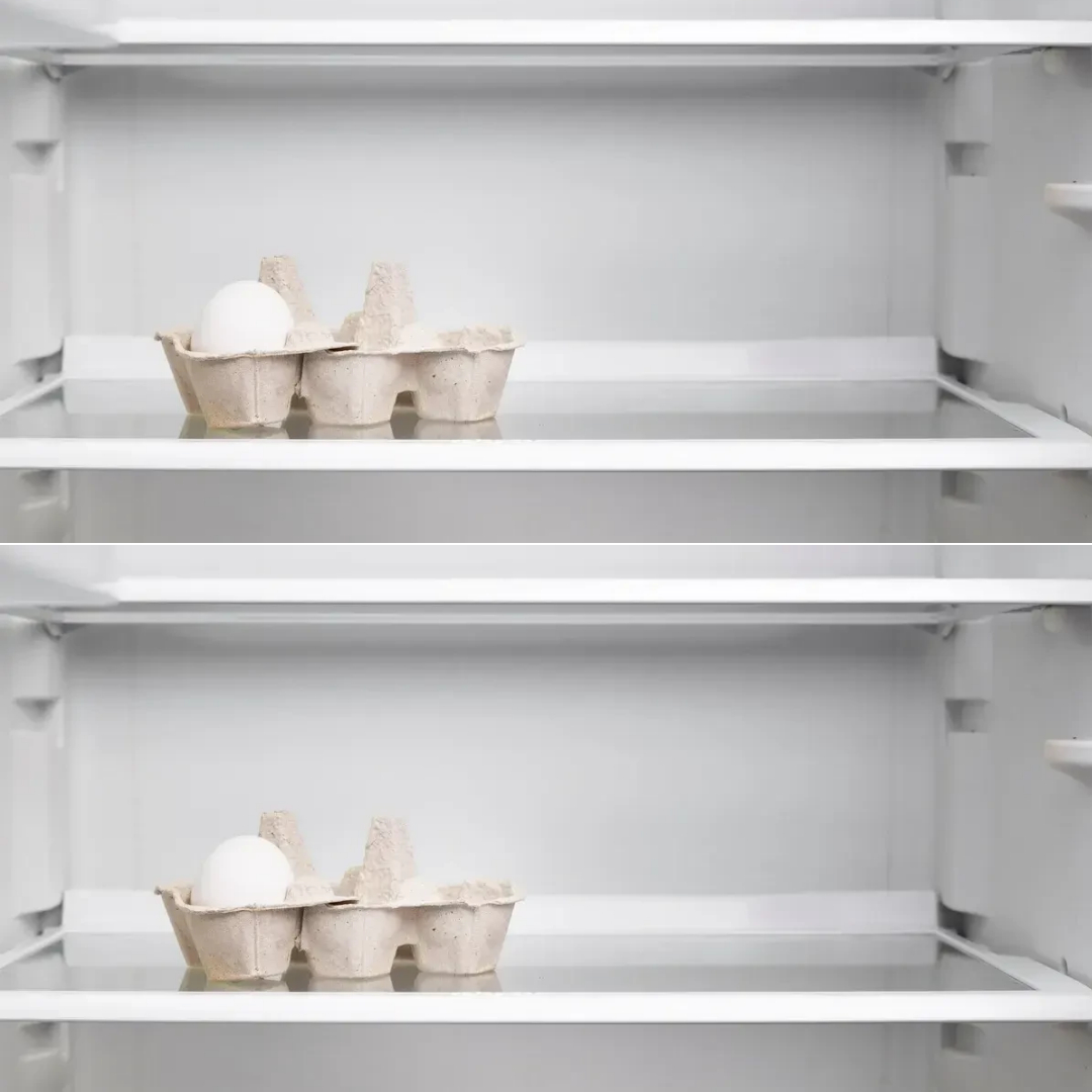 480731085 1761919781056906 7006037214561392171 N