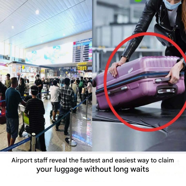 480775145 1036578838506691 7808406877622876676 N(1)