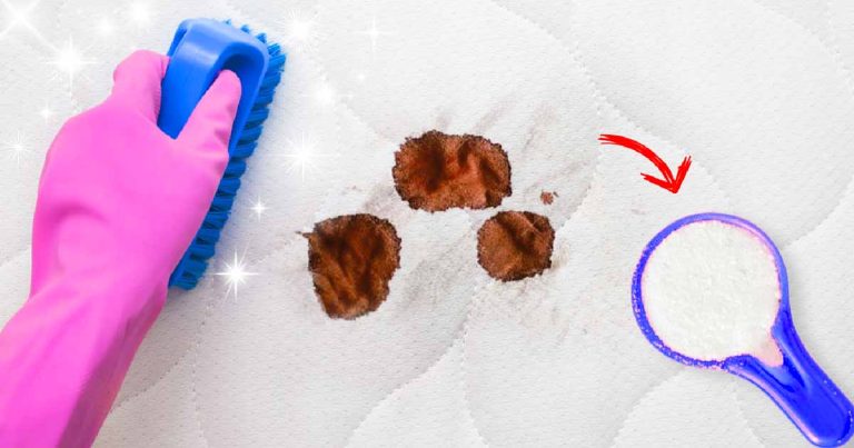 480883890 122145055514433366 6756366374770821154 N