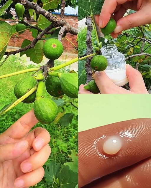 480959357 122231614712022445 7401636289862503300 N