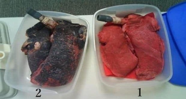 480963754 2063733107463826 156050446334432011 N