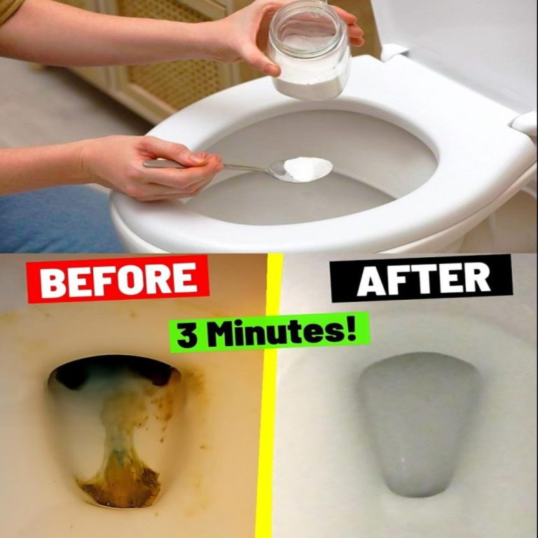 480964372 1765991217316429 1217928111744676671 N