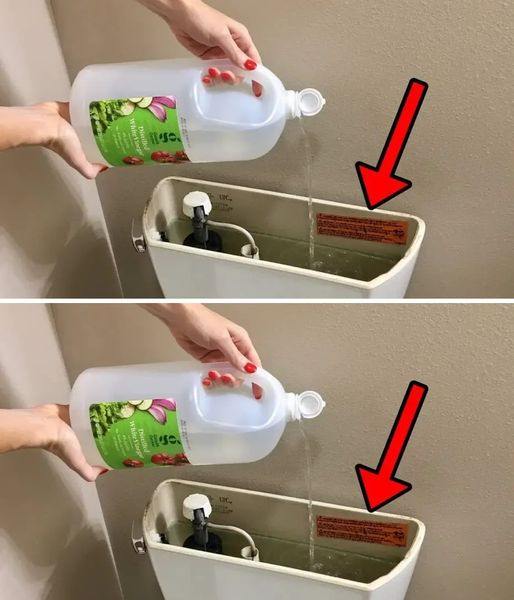 481057246 930024092608164 8258771950254084733 N