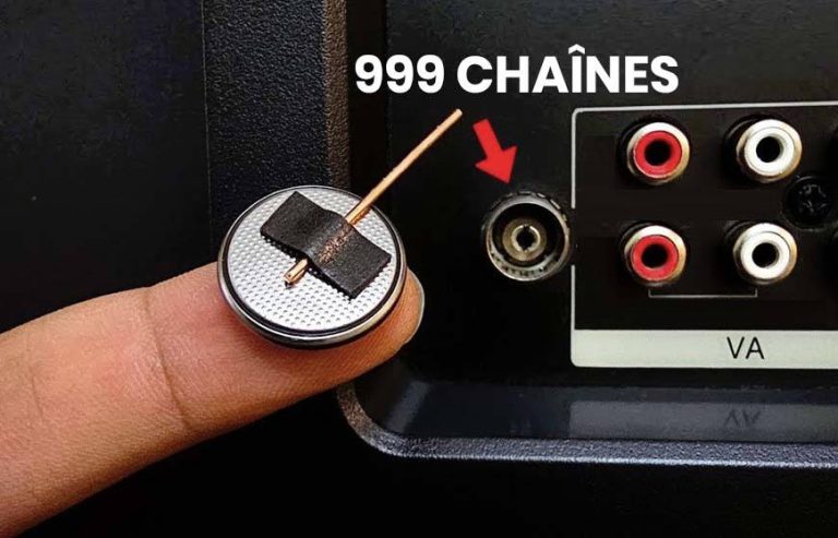 481083742 955346000087516 4653422311224671029 N