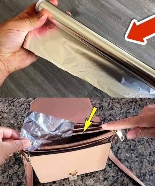 481332626 611409331704734 4059070279993076773 N