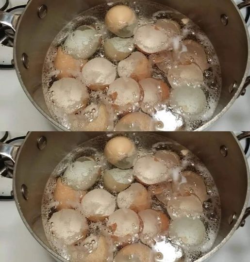 481461169 1829789201089558 7214267519877766790 N