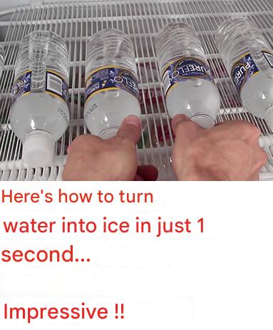 481668664 614023311443336 4221401326366505983 N(1)