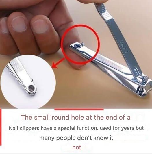 481669652 1330760198582345 5456452277400064511 N(1)