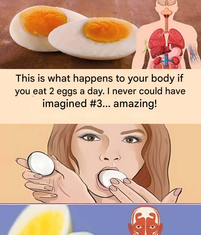 481672235 2056750984828705 5360237998669462914 N(1)