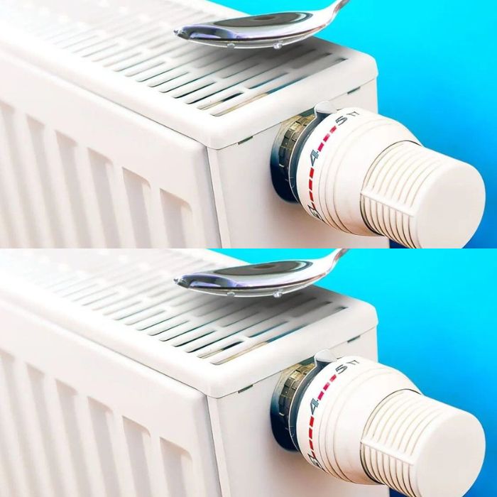 481828114 1203506114681335 4097676788635603318 N