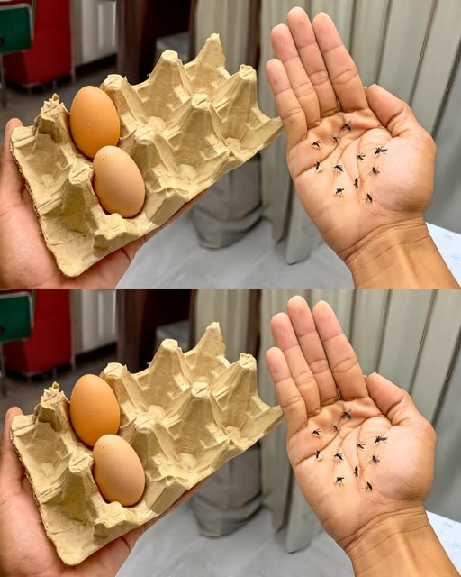 481897722 122146994816459064 2099501022445737008 N