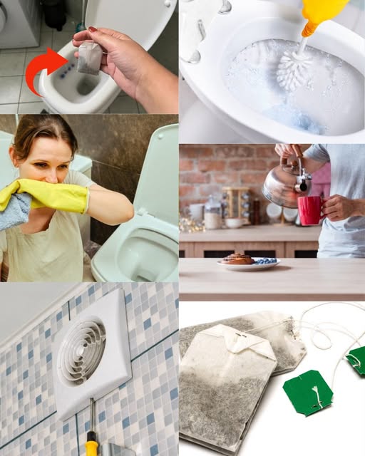 481901674 122124381914631414 1058395162856622126 N