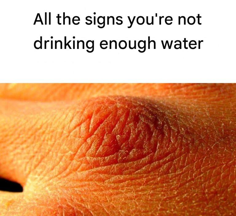 481947297 122223871670207469 2253689288585212522 N 768x702 1(1)