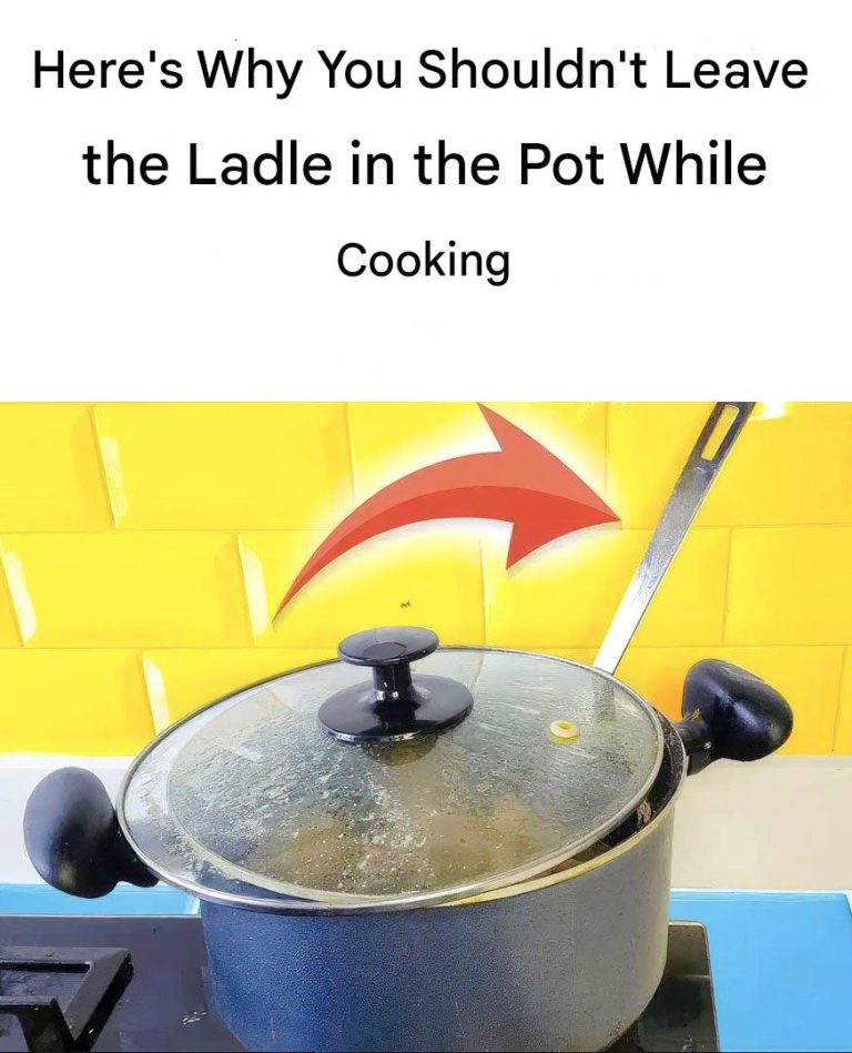 481961612 576405768771566 3504718344790612619 N 768x949 1