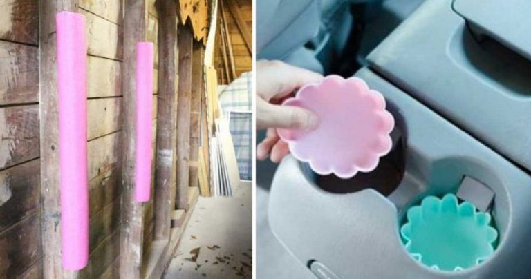 482031380 1212777317106668 1281659596134579803 N