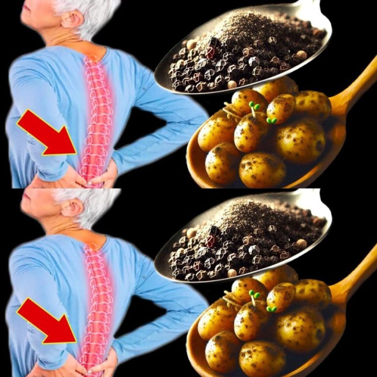 482093550 122118321632709878 993305301145467624 N 1024x1024