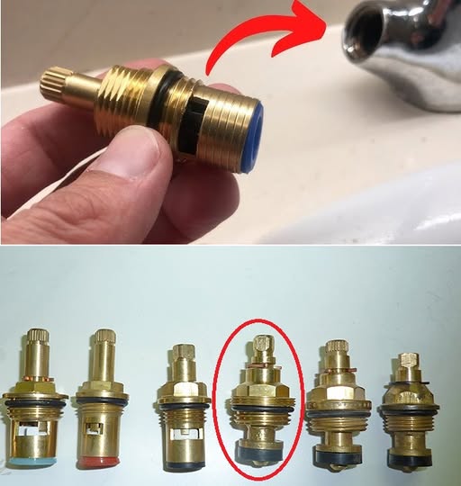 482222471 122194774778057069 4003163986881804478 N