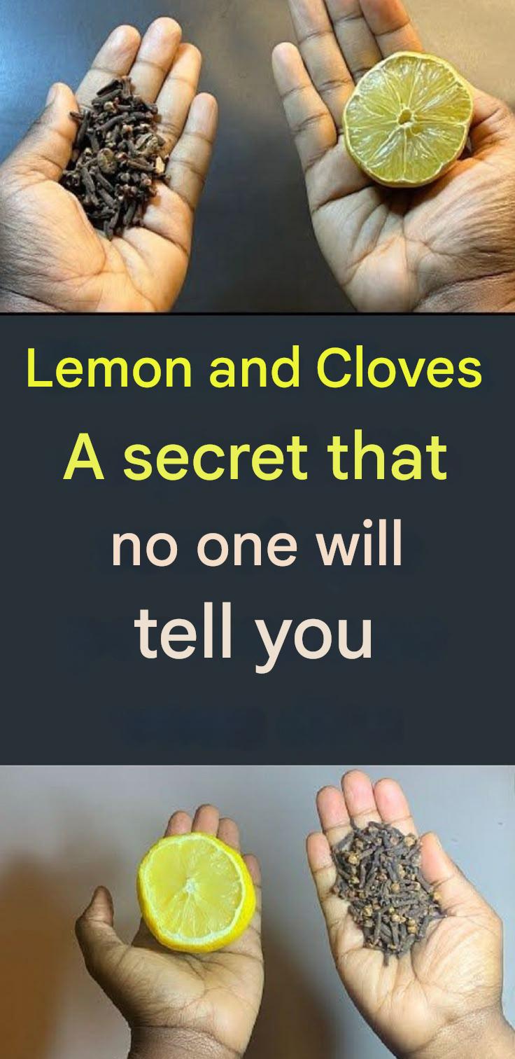 482253851 1338608197797545 4819730709766696946 N(1)