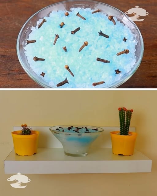 483522055 1340001570991541 6656955610984099495 N