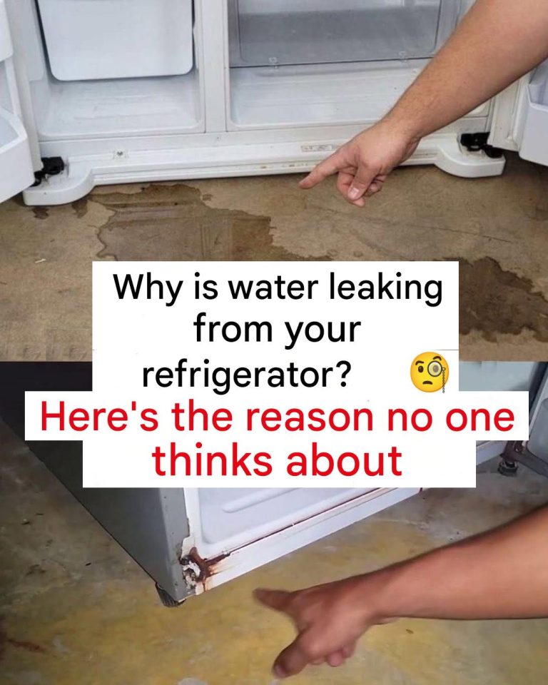 483523810 1048578270640081 2166665391843677124 N(1)