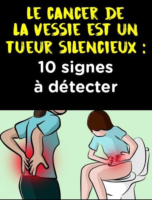 483525537 1338481814476850 437673379238691415 N