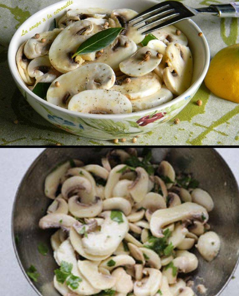 483527252 1780215209227363 2785537095665124798 N