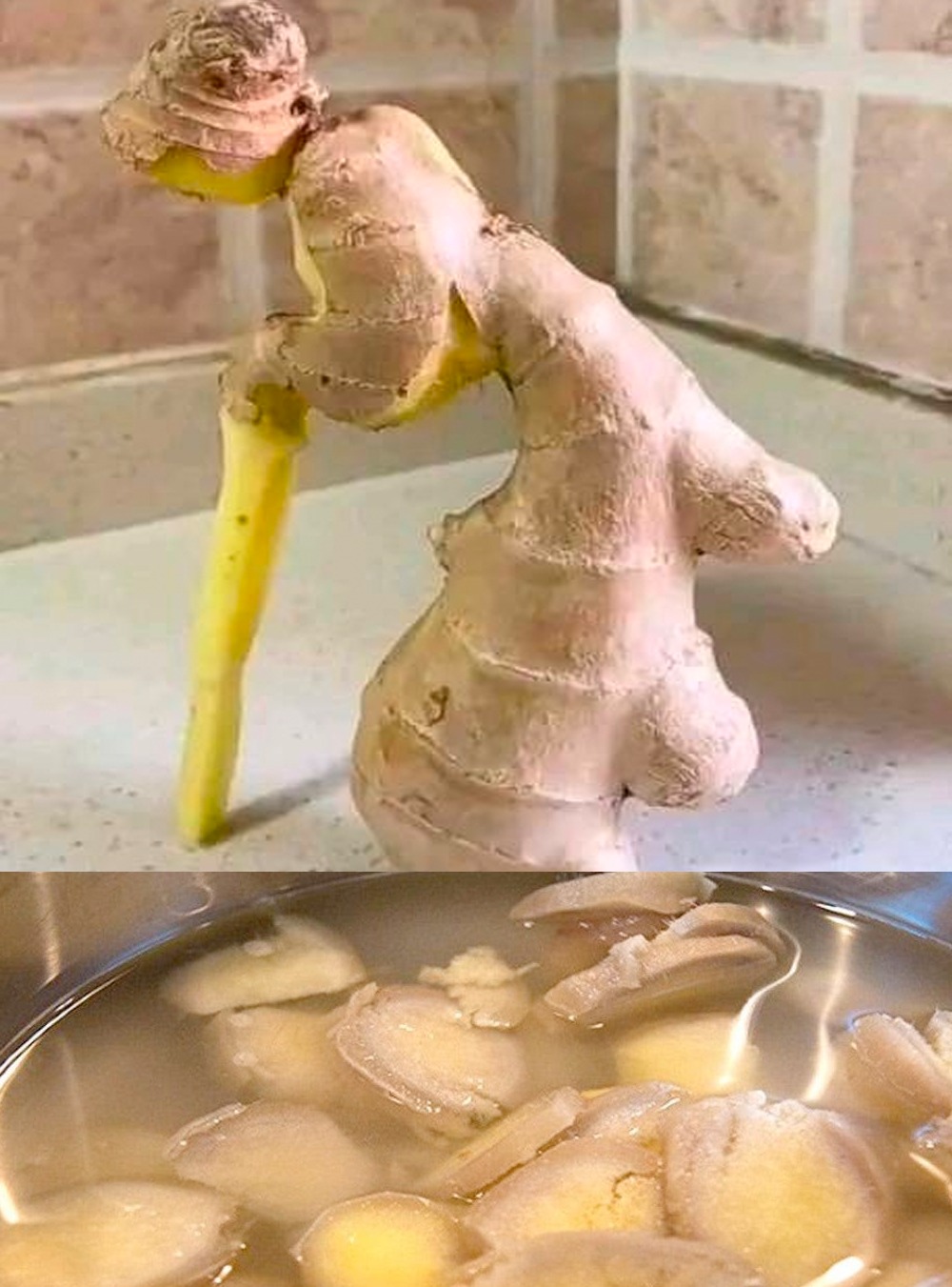 483695262 1208841524147794 899741885588481143 N