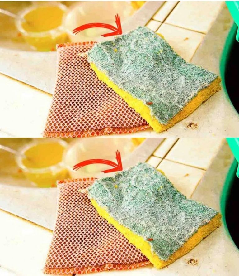 483741360 1386781105656045 992133005181935227 N