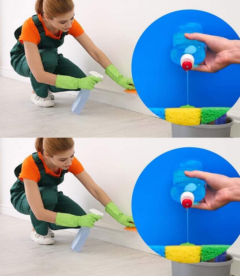 484095275 627064523636962 2271076028582263949 N