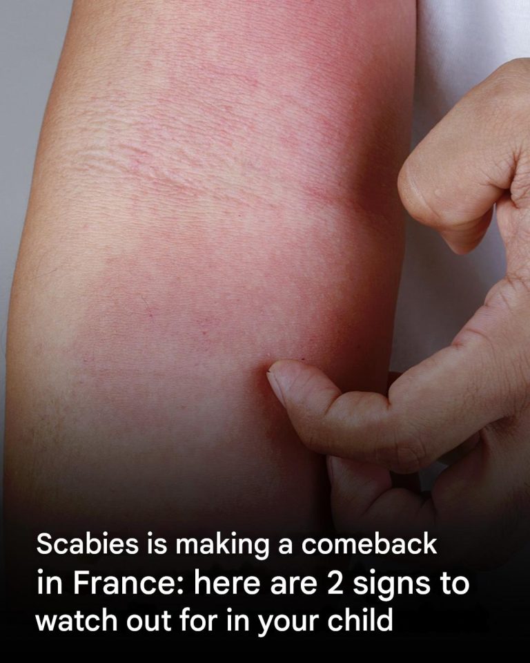 484287431 686490700474196 2318405251958238686 N(1)