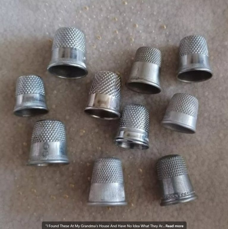 484348362 122120726744704504 5827569487471303721 N
