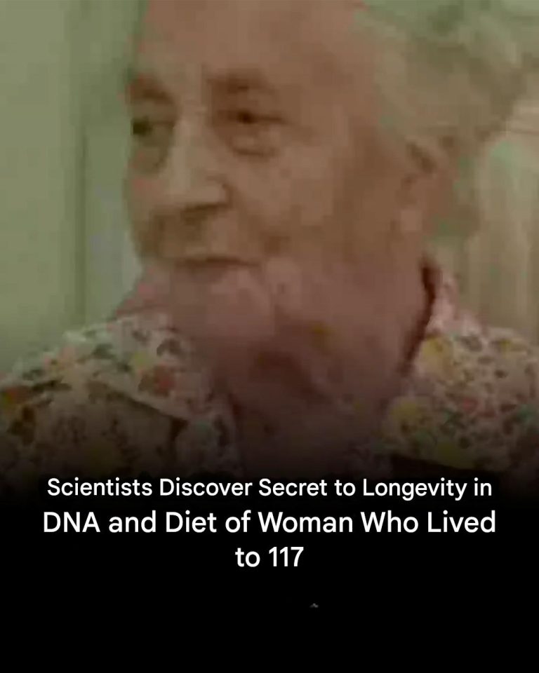 484517374 1057644989733409 522032730810638906 N(1)