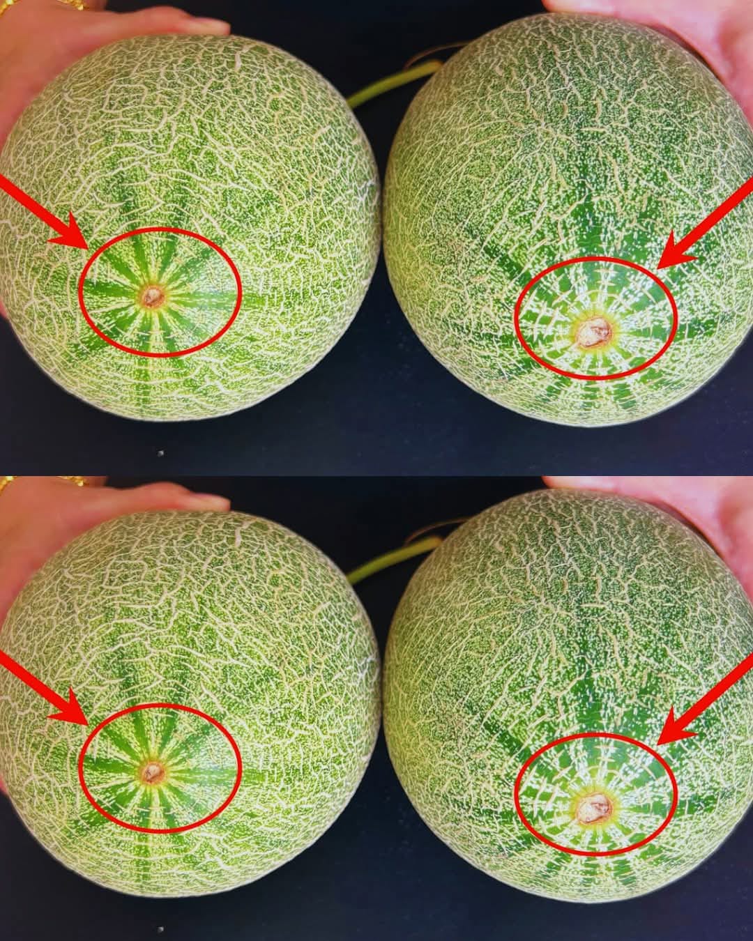 485095355 665340276148705 3273485875982762601 N