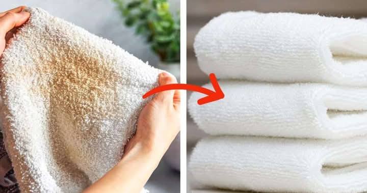 485419802 637927195892545 295486558381797387 N