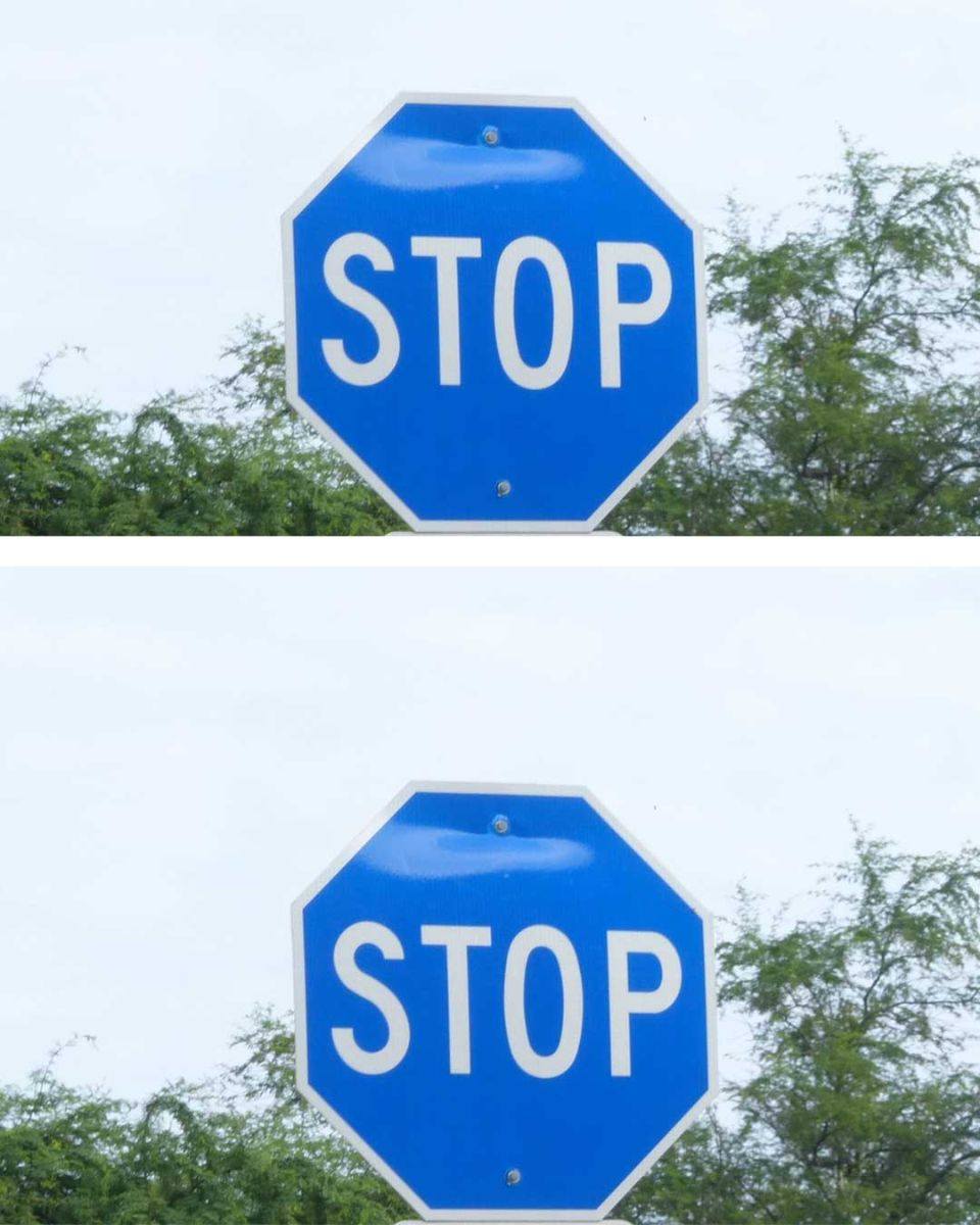 485427599 1051695690126003 2938187510819379129 N