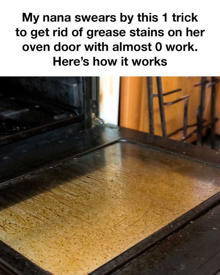 485628429 2426656314335780 5993727193772797170 N