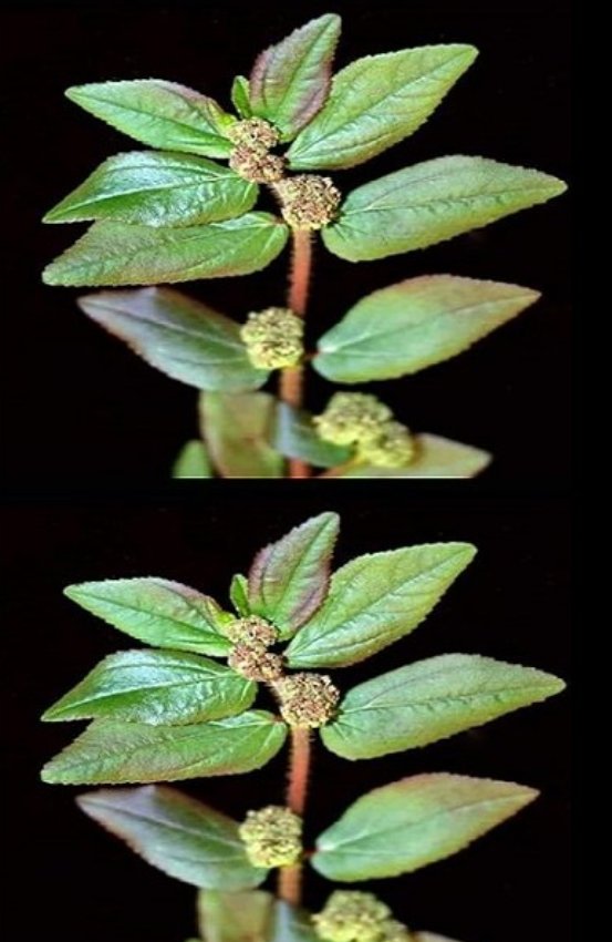 485793837 122121840620707054 8892901224802606370 N