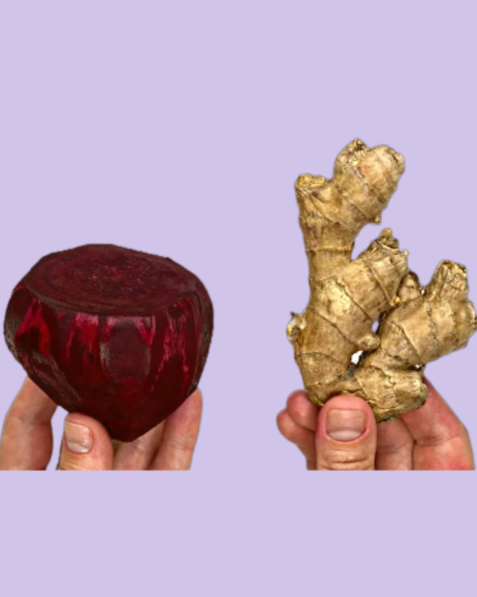 486017180 122184120824093586 3354262069458175200 N