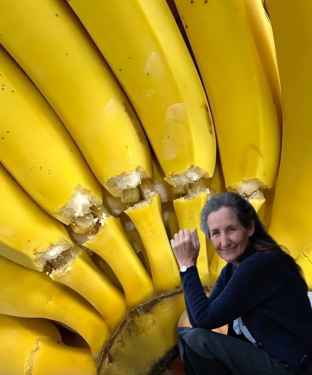 486083655 1071210928355801 6916921903826659465 N