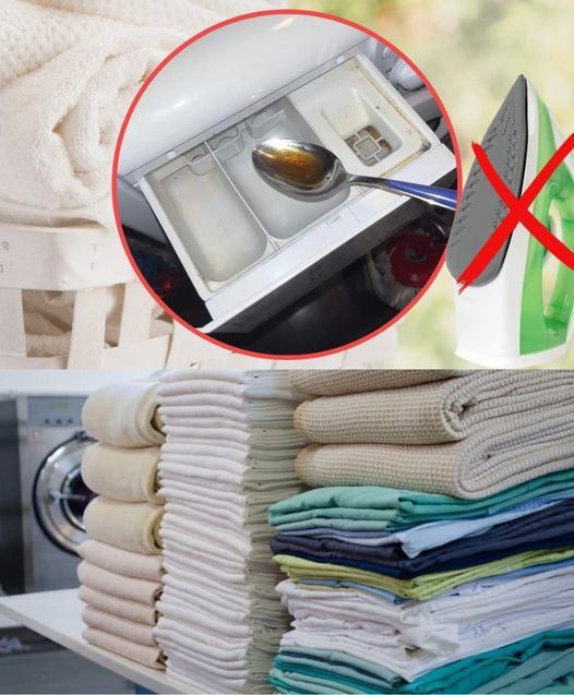 486289836 122183687360265752 4199488443411098142 N