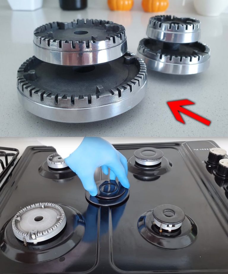 486295464 122160915242458710 4194234675474816834 N