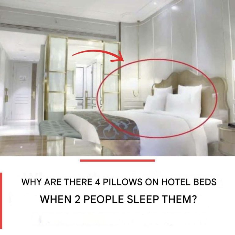 486505441 1219062886458991 6543409012266073140 N(1)