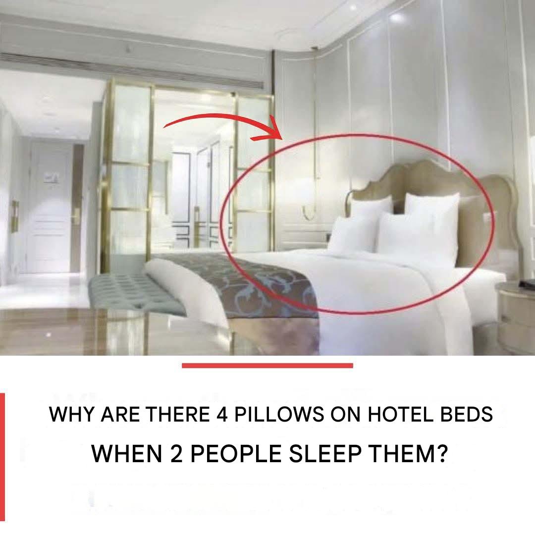 486505441 1219062886458991 6543409012266073140 N(1)