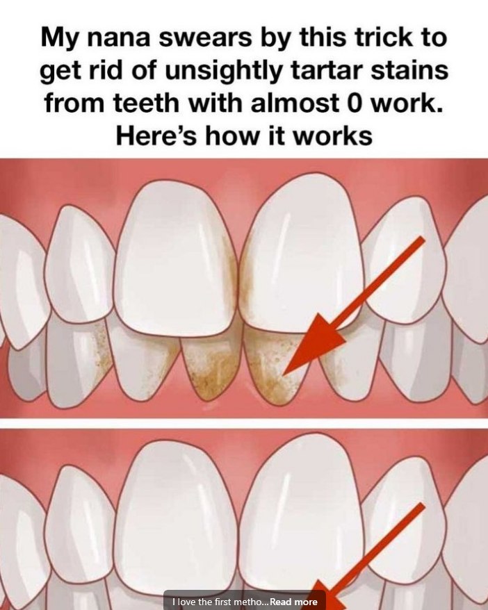 486867992 122122696400707054 297572800839526596 N