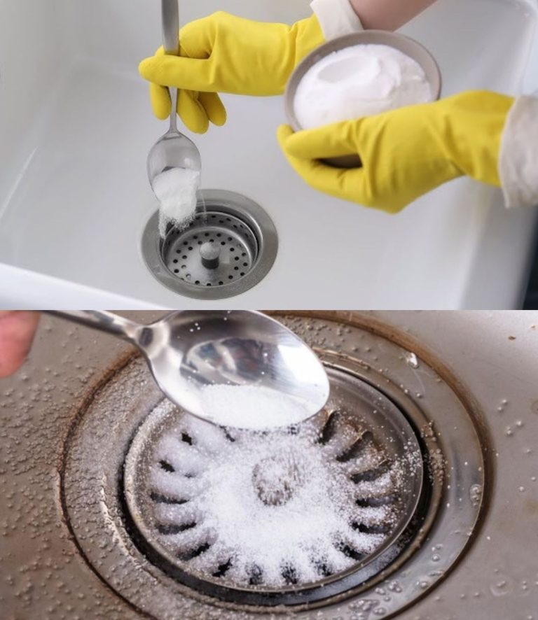 487113734 1168101541721221 2551673302103655185 N