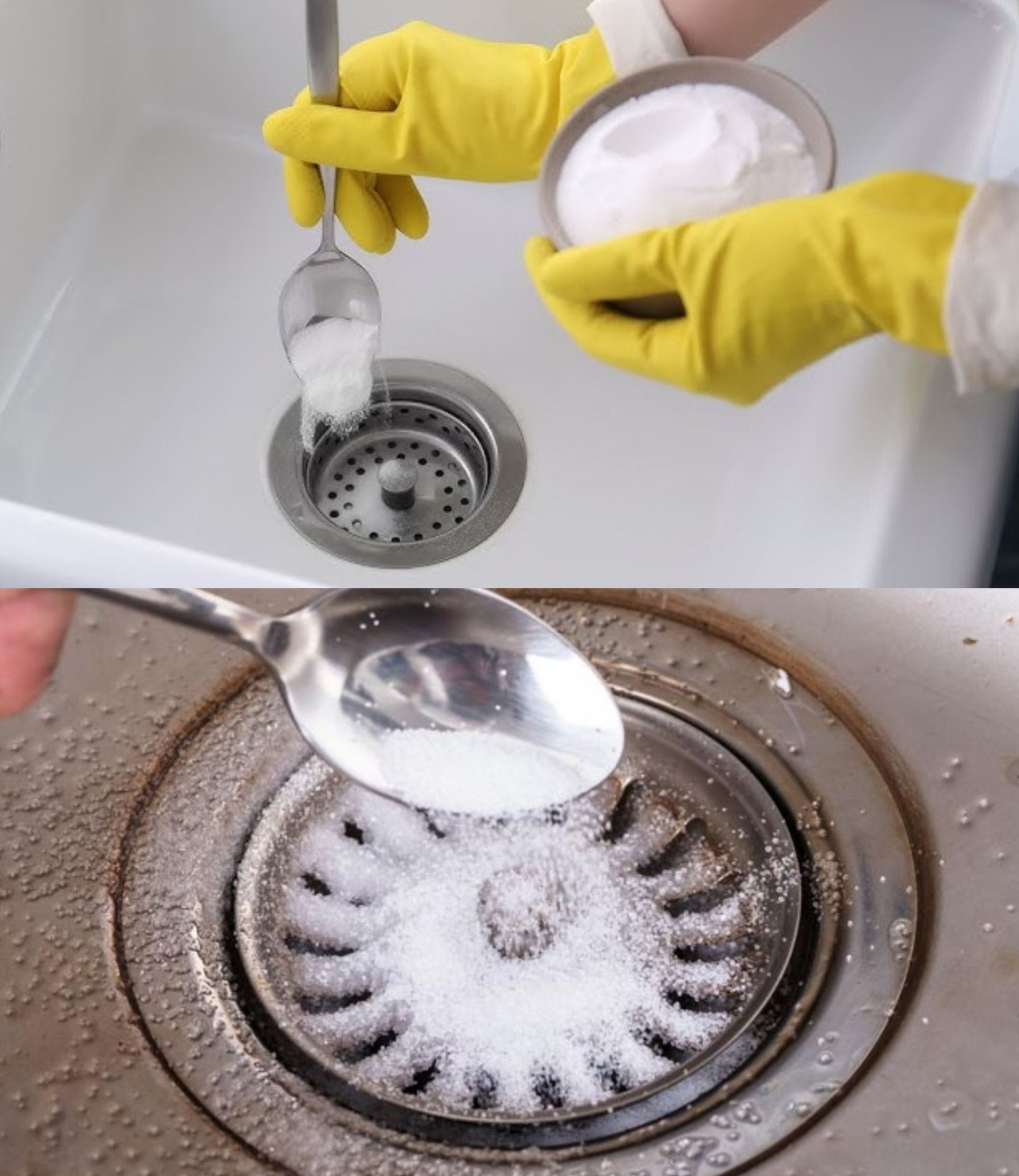 487113734 1168101541721221 2551673302103655185 N