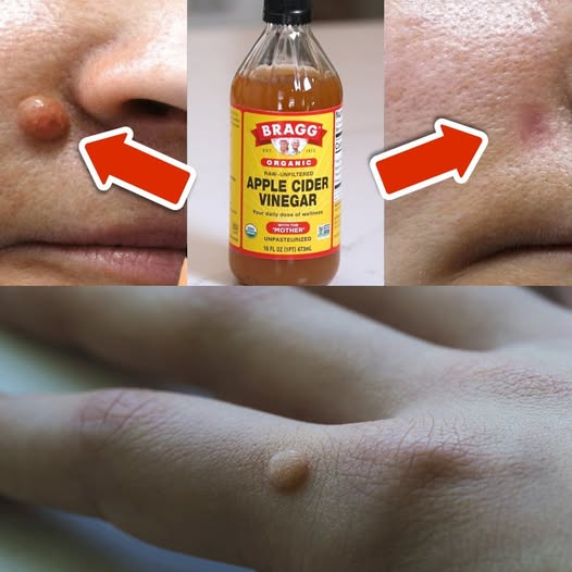 487482779 122227561532080624 5623367740629148169 N